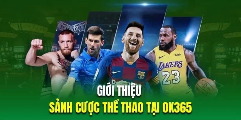 Sảnh cược thể thao của OK365 